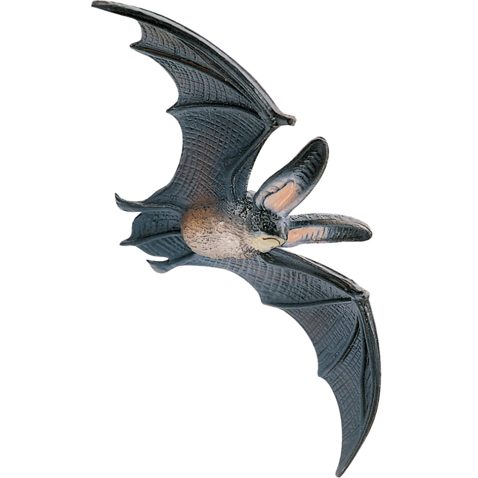 Animali della Foresta/Piccolo Pipistrello
