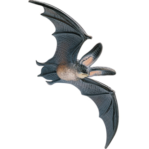 Animali della Foresta/Piccolo Pipistrello