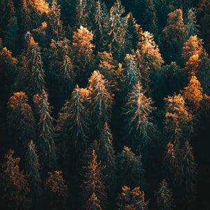 Affiche paysage couleur d'automne en haute savoie Affiche sous cadre bois