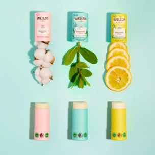 WELEDA - Deodorant stick Citrus Bergamot