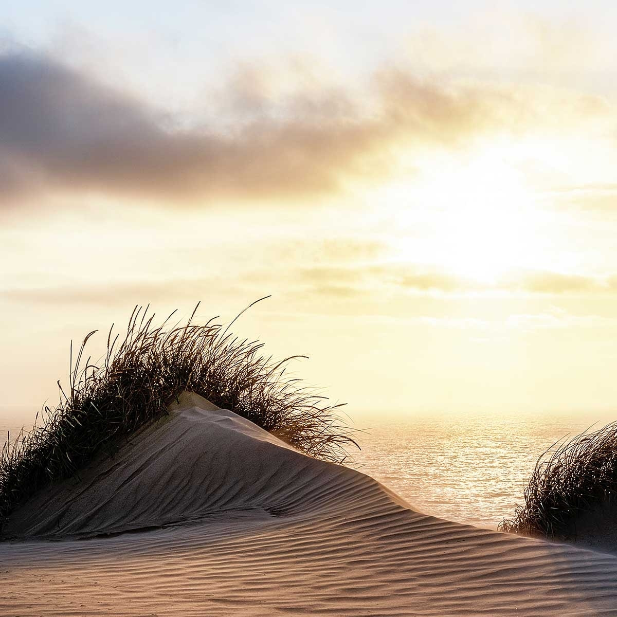 Poster dune au vent Affiche sous cadre noir