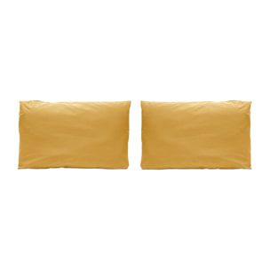 2 Fundas de almohada 100% algodón percal PURE mostaza. Varios tamaños disponibles