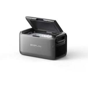 Glacière électrique ECOFLOW Classic 35L