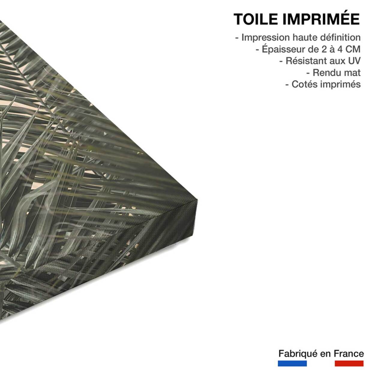 Tableau sandy palme Toile imprimée