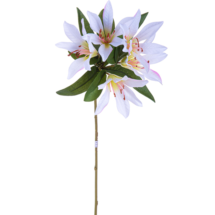 Australian Lily. Altezza 64 Cm - Pezzi 12 - 15X64X6cm - Colore: Rosa - Bianchi Dino - Lilium, Lisianthus