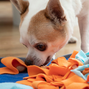 Tapis Olfactif pour Animaux de Compagnie Fooland InnovaGoods