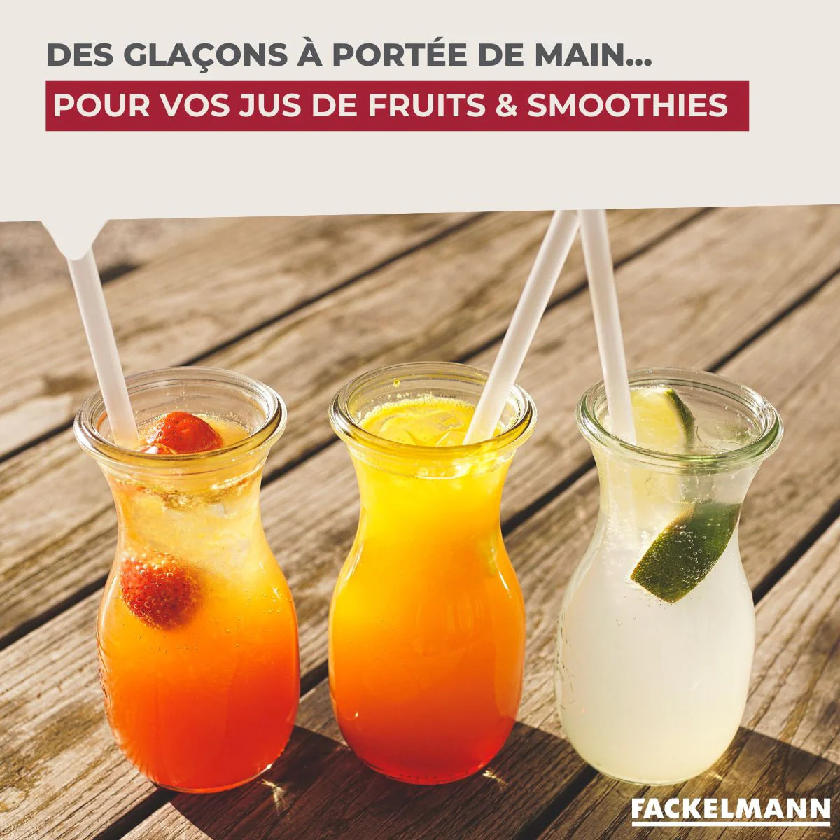 Lot de 2 Bac à glaçons 14 glaçons Fackelmann Bar Concept