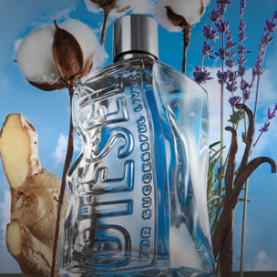 D By Diesel - Eau de Toilette