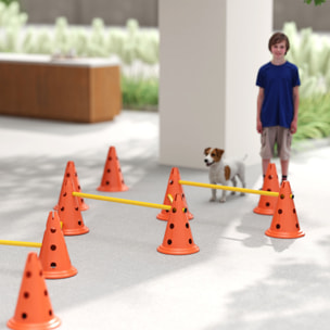 Set d'obstacles agility 12 cônes 6 piquets pour chien sac transport inclus