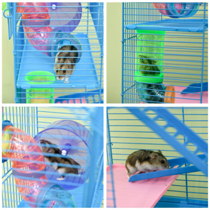 Cage pour hamster souris petits animaux rongeur avec tunnel mangeoire roue jouet 47 x 30 x 59 cm cm bleu