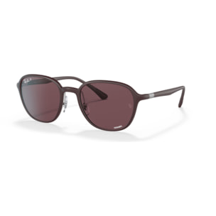 Ray Ban Gafas de sol para cada estilo de vida RB4341CH