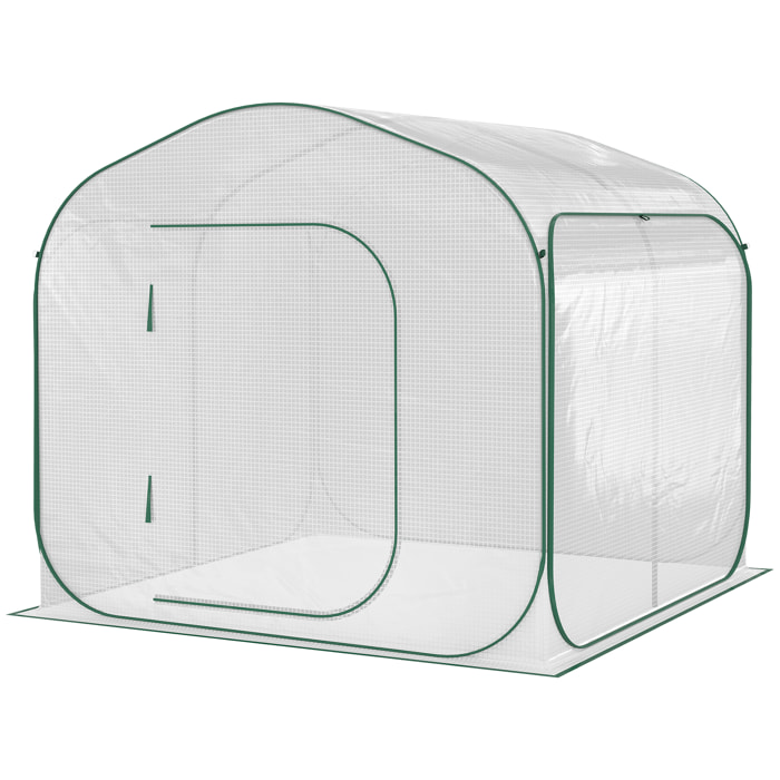 Serre de jardin pop-up porte zippée enroulable sac transport PE blanc vert