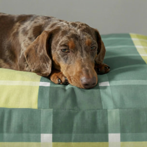 Lit pour animaux antitaches Sutton Esmeralda