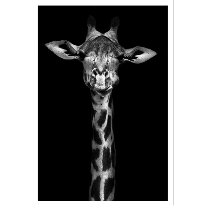 Affiche girafe haute en portrait Affiche seule