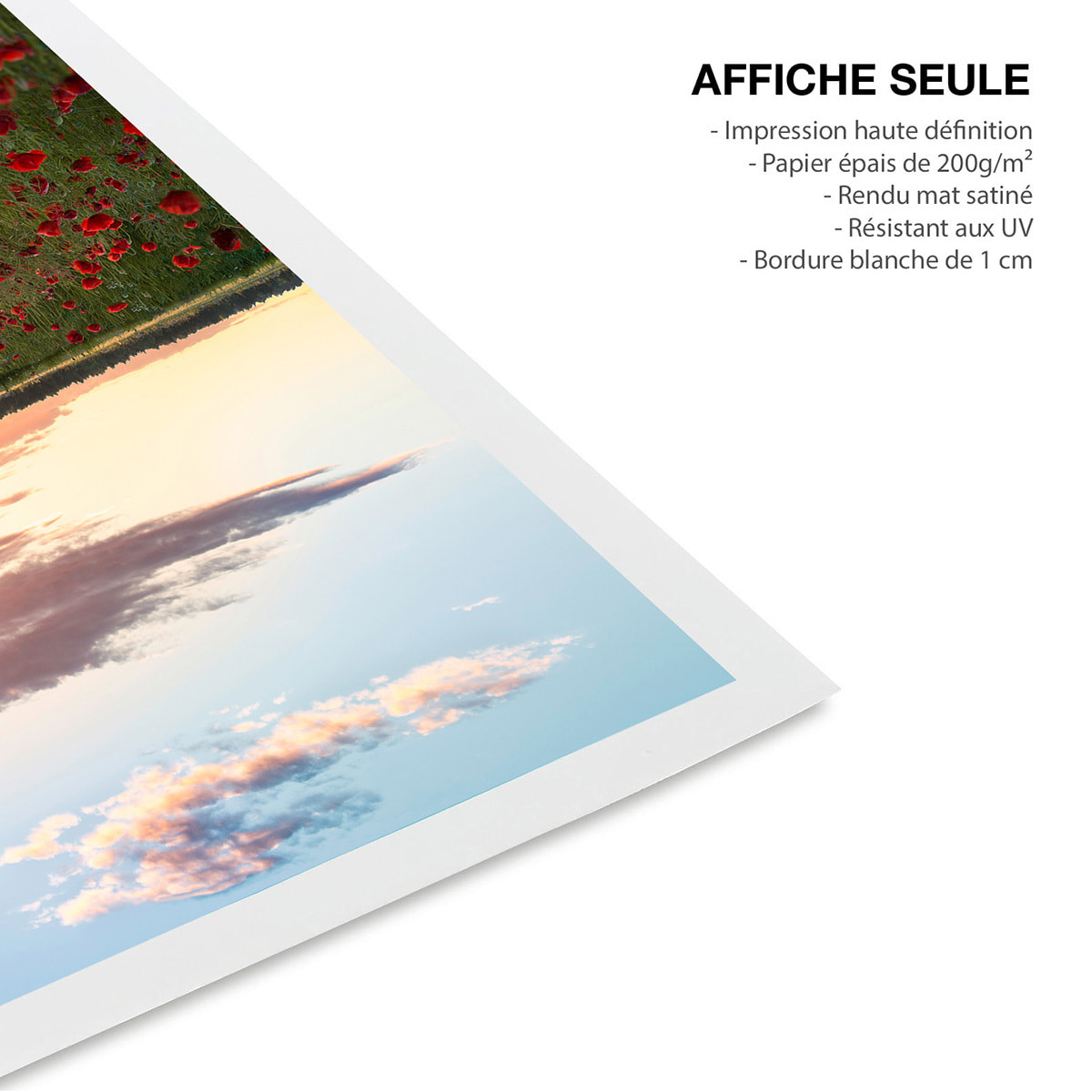 Affiche champs de coquelicots Suede en fleurs Affiche seule