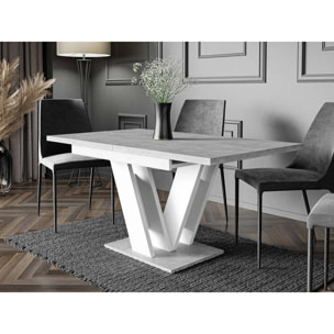 Xandriel - table à manger extensible - gris et blanc - 4 à 6 personnes - Blanc/chêne clair