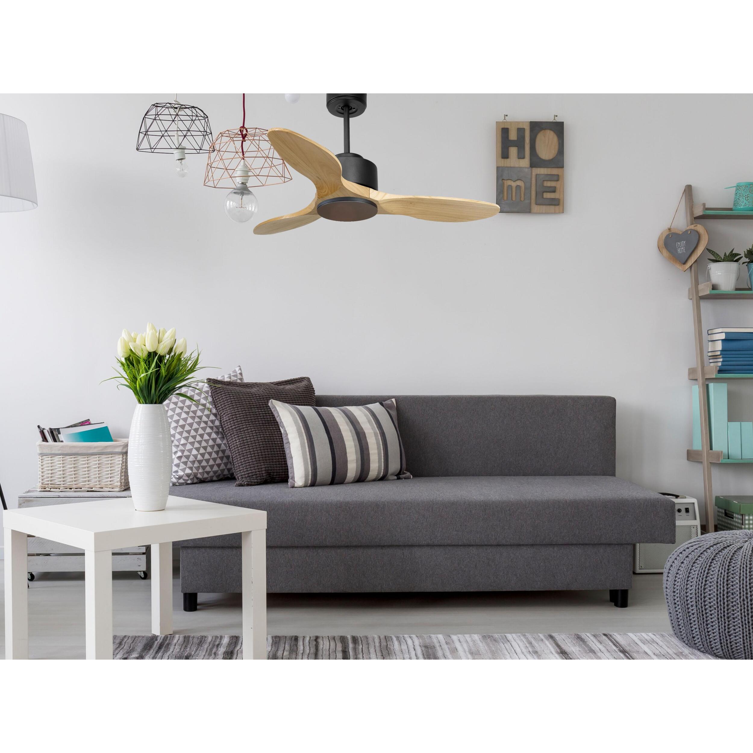 Ventilateur de plafond ø106 cm avec Wifi Réversible Hypersilence 40   W Noir