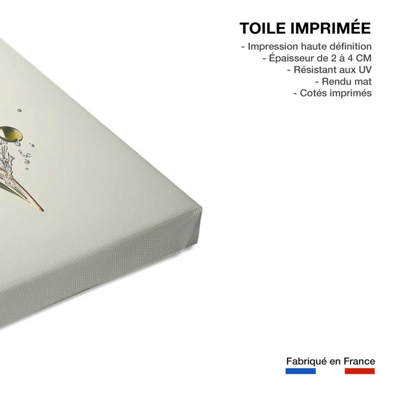 Tableau fruits et legumes olives fraiches  Toile imprimée