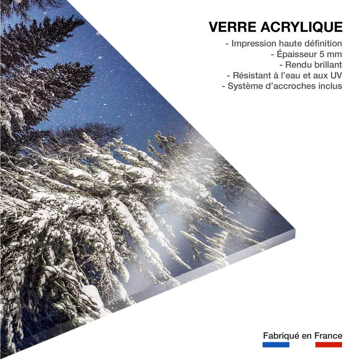 Tableau freeride ski session Tableau plexiglas