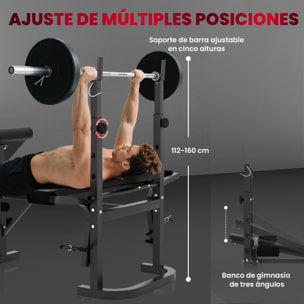 Banco de Musculación Multifuncional Inclinable, Banco de Pesas, Press Banca con Soporte para Barra Ajustable, Extensión Piernas, Curl de Predicador, Mariposa, Entrenamiento en Casa, Gimnasio