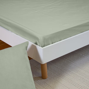 Drap housse percale de coton 65 fils uni - vert sauge