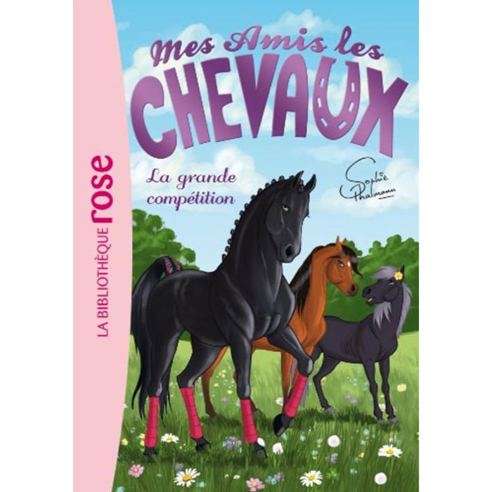 Livre, Hachette | Mes amis les chevaux, tome 2 : La grande compétition | Livre d'occasion