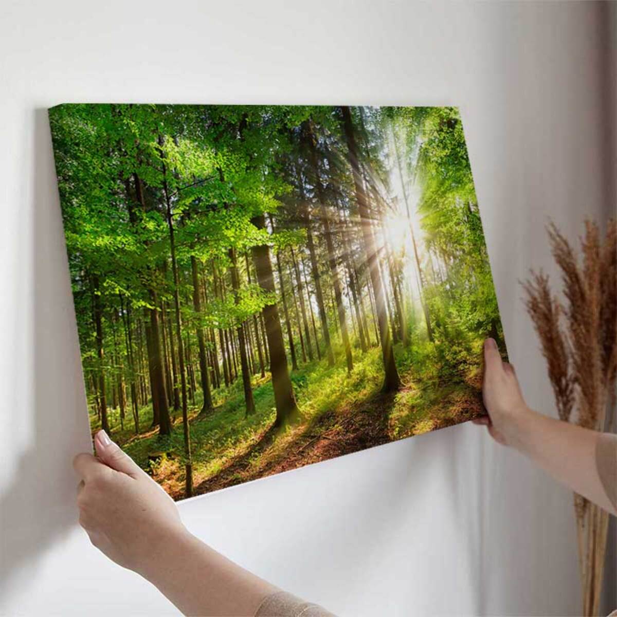 Tableau forêt verte baignée de lumière Toile imprimée