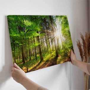 Tableau forêt verte baignée de lumière Toile imprimée