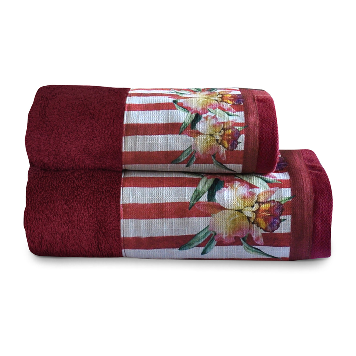 Coppia spugna Orchidea