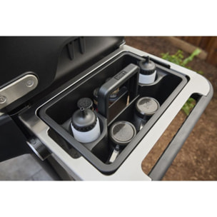 Ustensile barbecue WEBER compartimentée de transport Weber Works