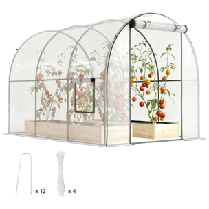 Invernadero de Exterior 3x2x2 m, Invernadero de Túnel con Puerta Enrollable, 2 Ventanas de Malla, Cubierta de Plástico y Marco de Acero, Anti-UV, para Cultivos, Plantas, Flores, Transparente