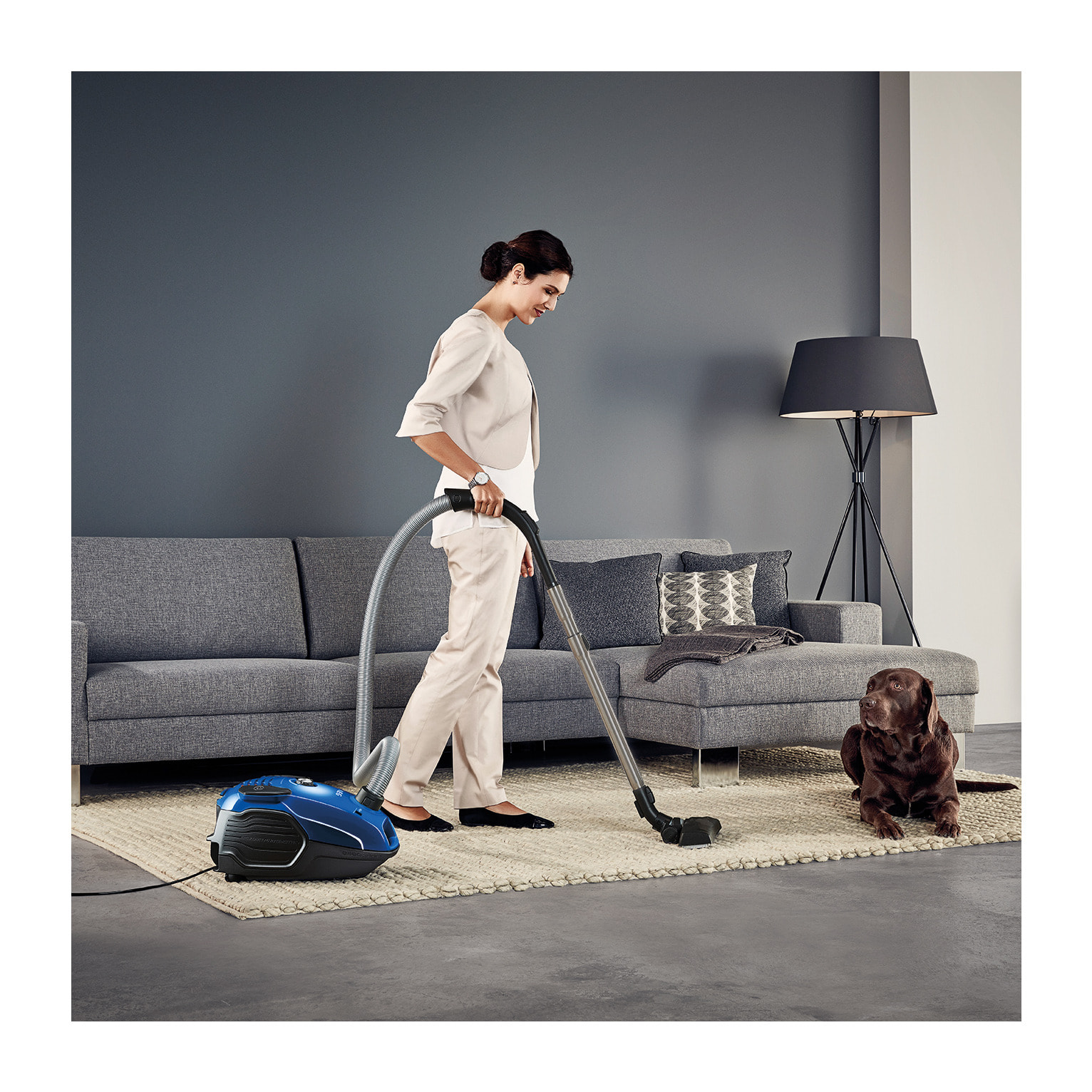 AEG Aspiradora con bolsa VX6 de 800 W y 76 dB(A) VX6-2-IS-P | Reacondicionado