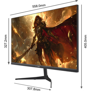 Ecran PC Gamer SKILLKORP SKP M24 Plat 24'' IPS