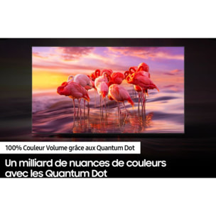 TV QLED SAMSUNG TQ32Q50A 2024