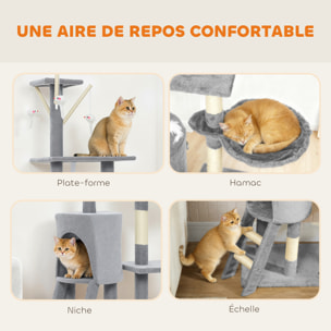 Arbre à chat multi-équipement griffoirs plateformes niche échelle hamac jouets gris
