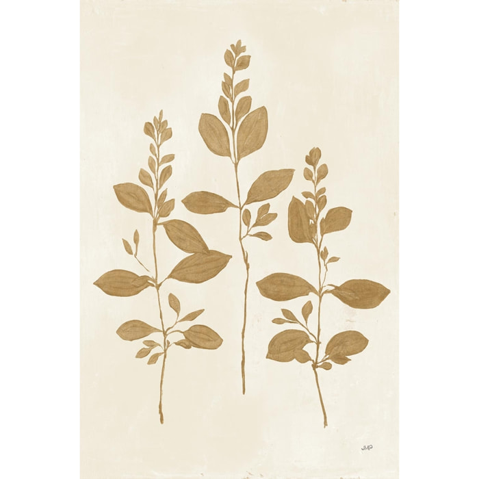 Tableau Recolte d'or Fresca Tableau plexiglas