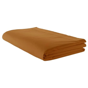 Drap Plat Uni en 100 % Coton - Marron Clair