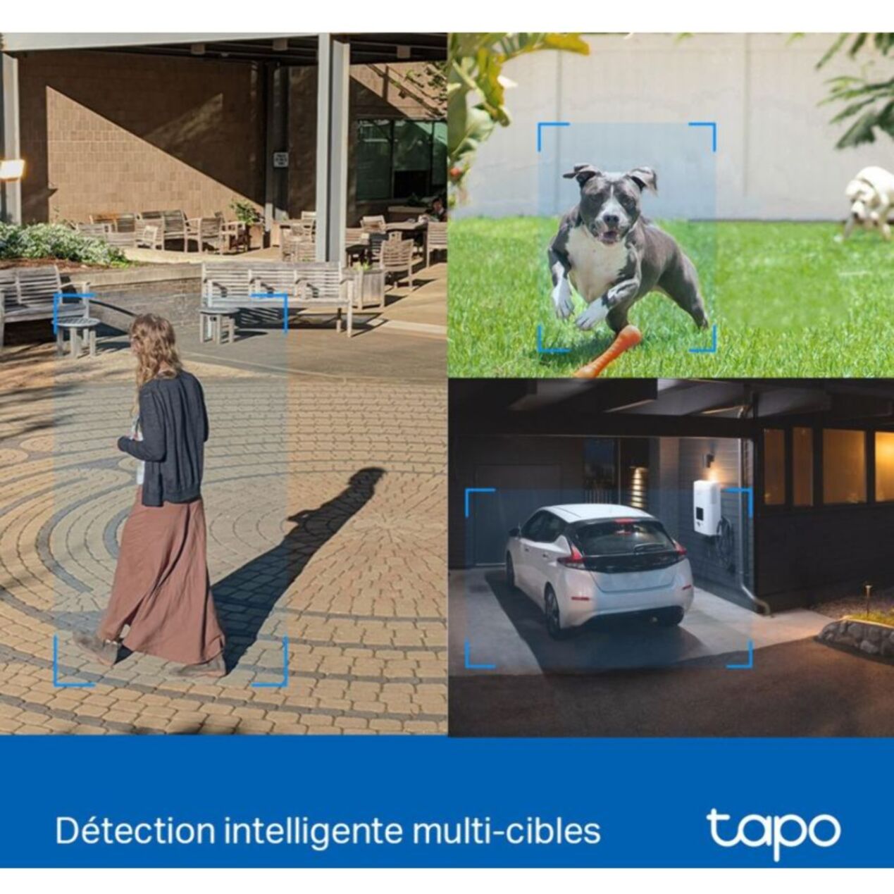 Caméra de surveillance TP-LINK Tapo C520WS