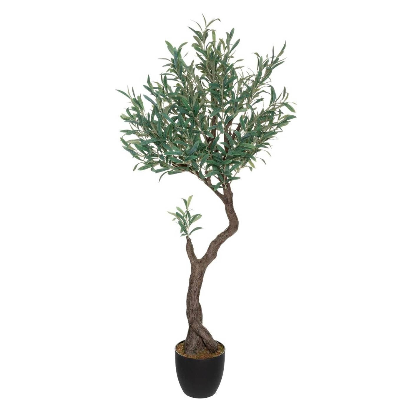 Plante olea salman 150cm