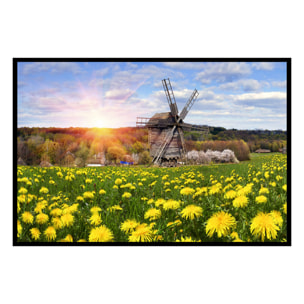 Affiche encadrée moulin à vent dans un champ fleuri Affiche + cadre en métal - Noir