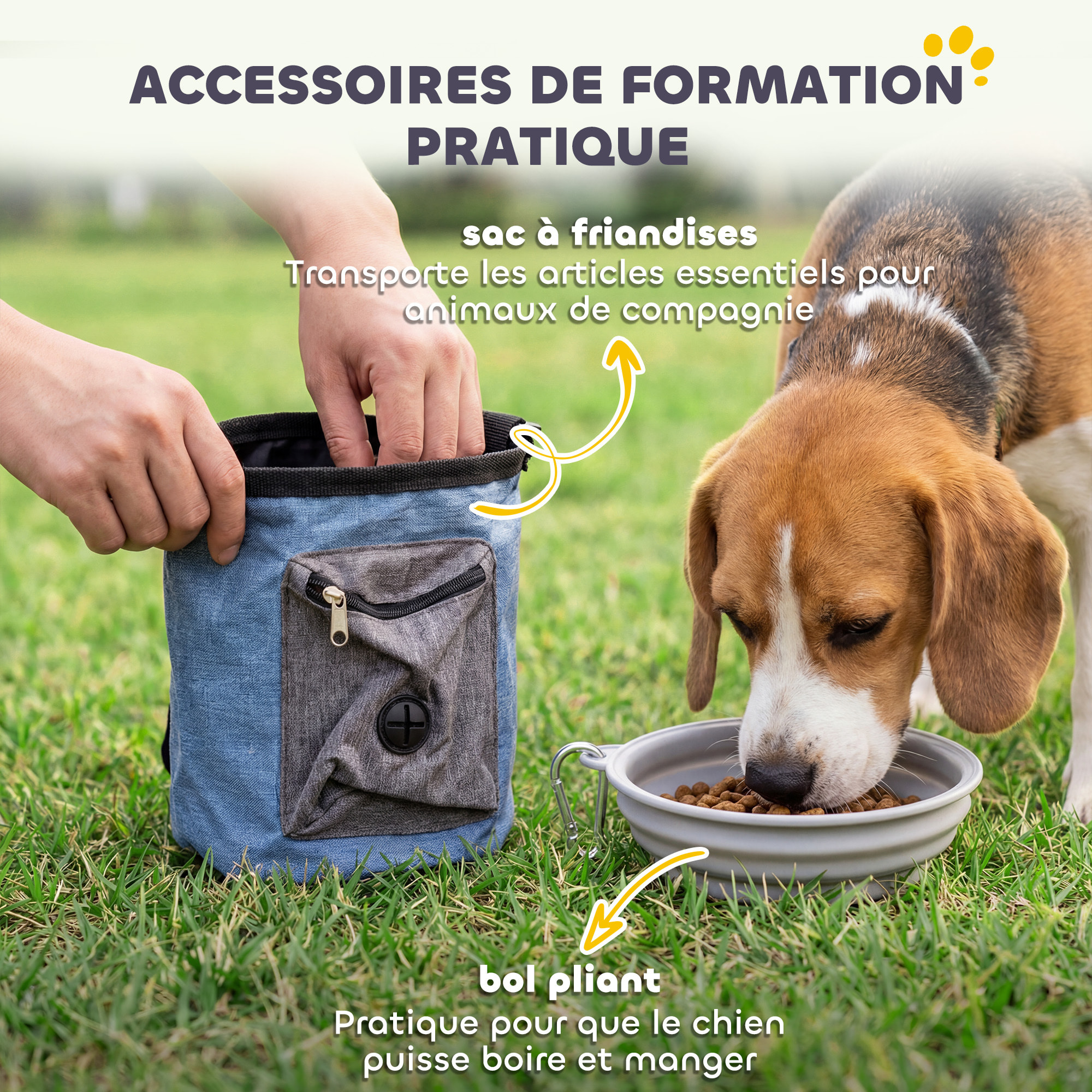 Kit d'agilité complet pour chien 11 pièces