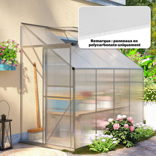 Lot de 10 panneaux polycarbonate alvéolaire 4 mm transparent dim. 120L x 60l cm