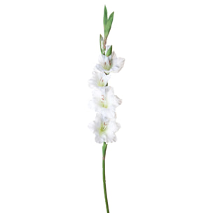 Fiore Di Gladiolo. Altezza 85 Cm - Pezzi 6 - 15X85X8cm - Colore: Bianco - Bianchi Dino - Fiori Artificiali