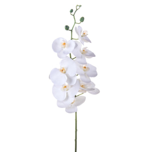 Phalaenopsis Con 8 Fiori. Altezza 103 Cm - Pezzi 4 - 20X103X9cm - Colore: Bianco - Bianchi Dino - Fiori Artificiali