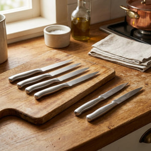 Set de 6 couteaux de qualité 24 cm en inox Nirosta Fit