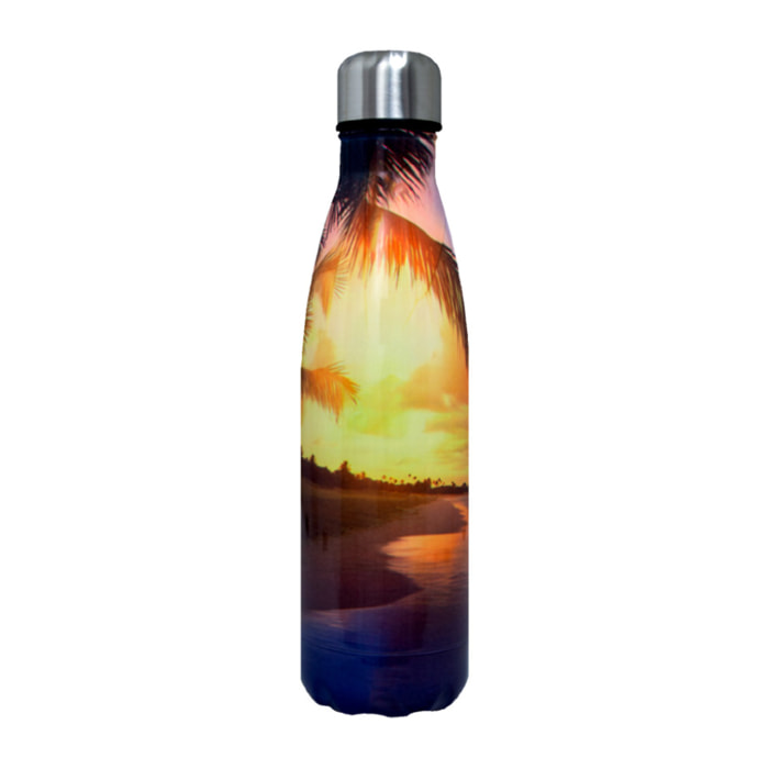 Borraccia Termica 500ml Bottiglia Thermos Modello Landscape