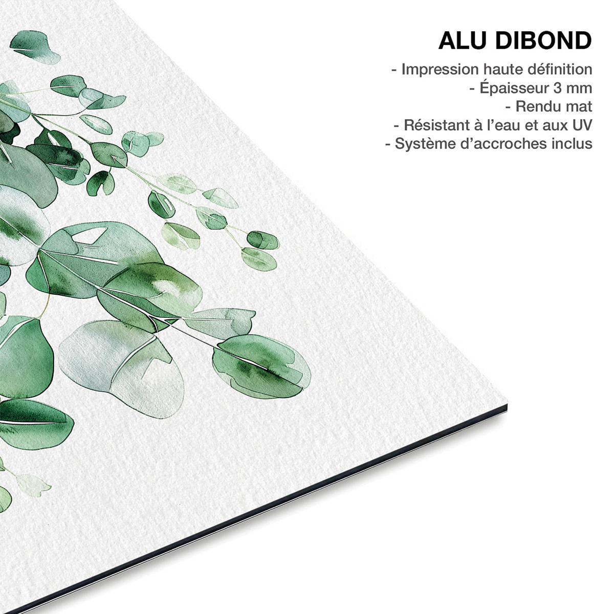 Tableau fleurs eucalyptus élégance Tableau alu Dibond