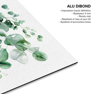 Tableau fleurs eucalyptus élégance Tableau alu Dibond