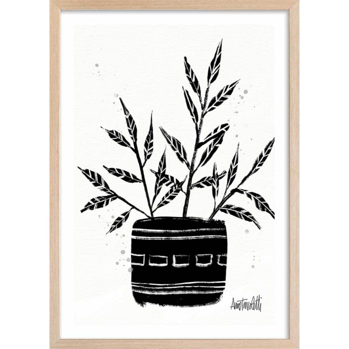 Illustration Botanique et Poterie terre cuite Affiche sous cadre bois