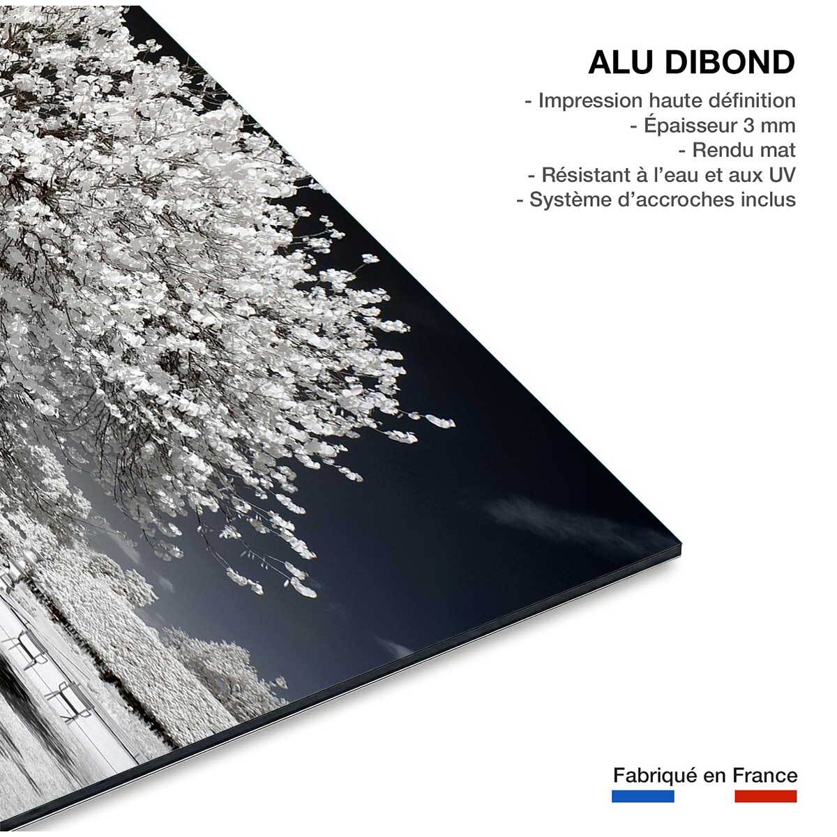 Tableau paris jardin blanc comme neige  Tableau alu Dibond
